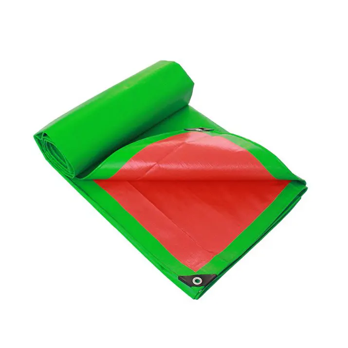 금성 타포린 금성 타포린